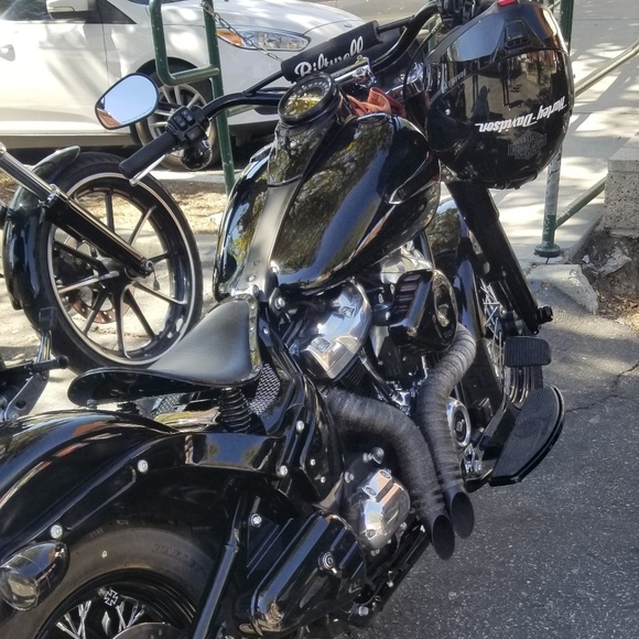 Meet your Posher, Roy - Picture 7 of 8